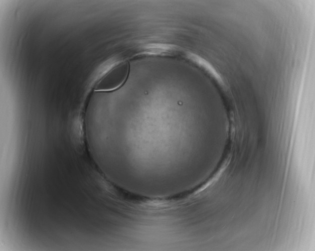 X0000099981362200805231416