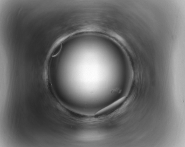 X0000099981366200805231416