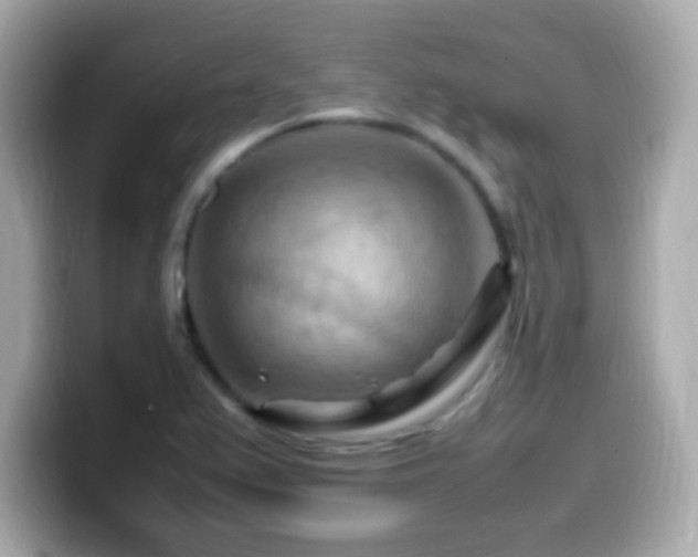 X0000099981367200805231416