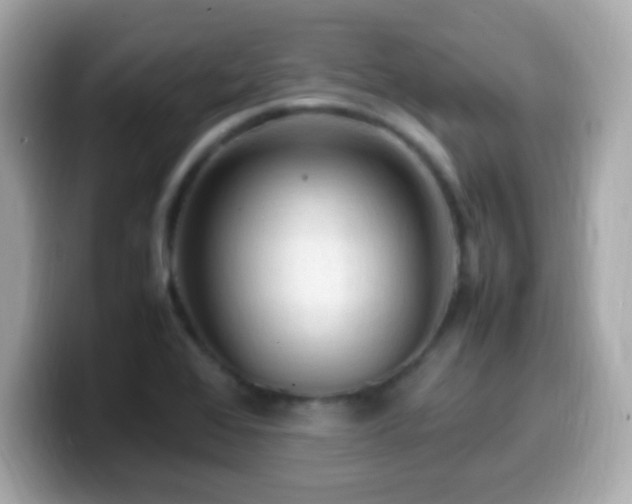 X0000099981368200805231416