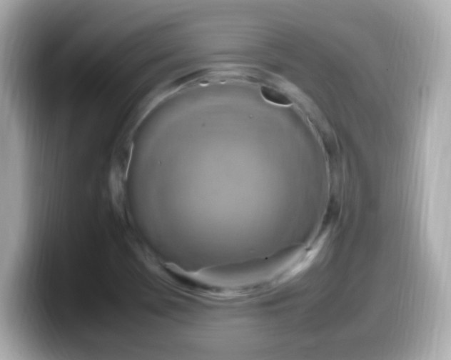 X0000099981369200805231416