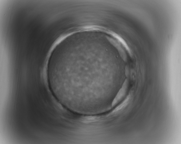 X0000099981373200805231416
