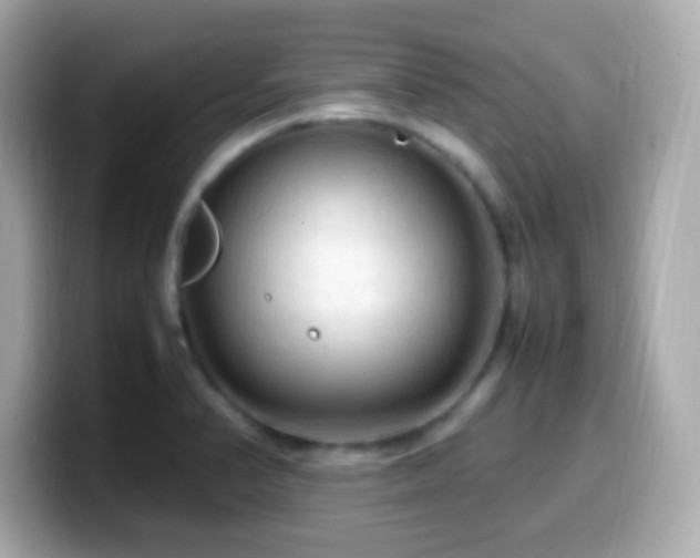 X0000099981374200805231416