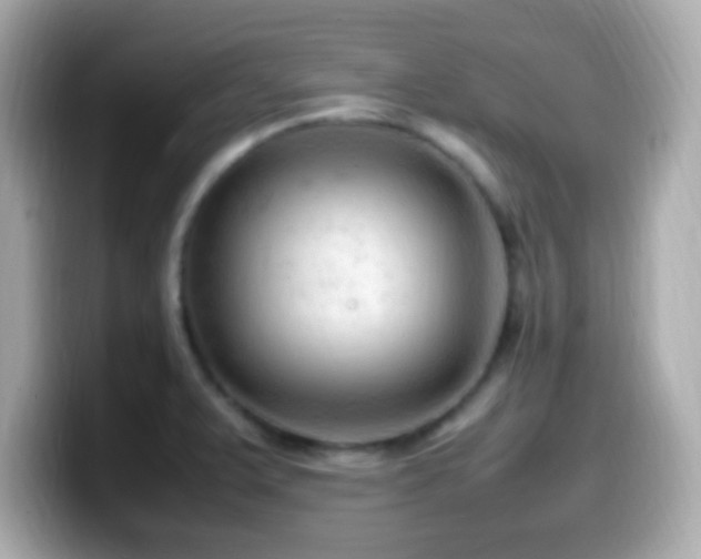 X0000099981375200805231416