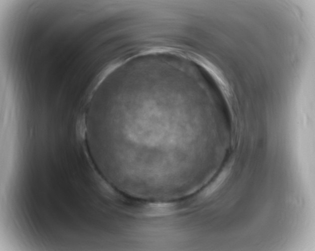 X0000099981377200805231416