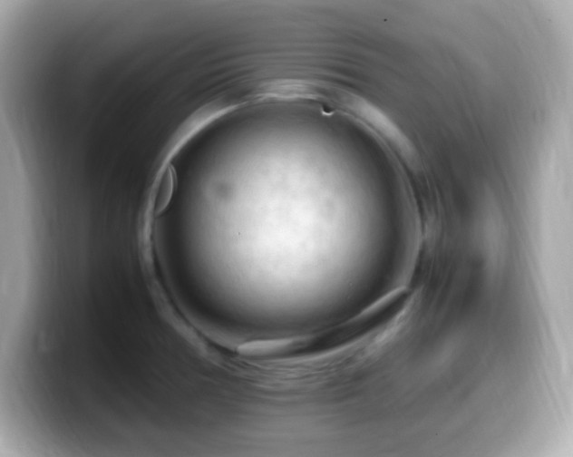 X0000099981378200805231416