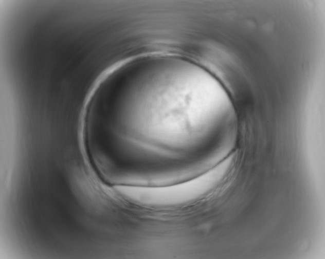 X0000099981379200805231416