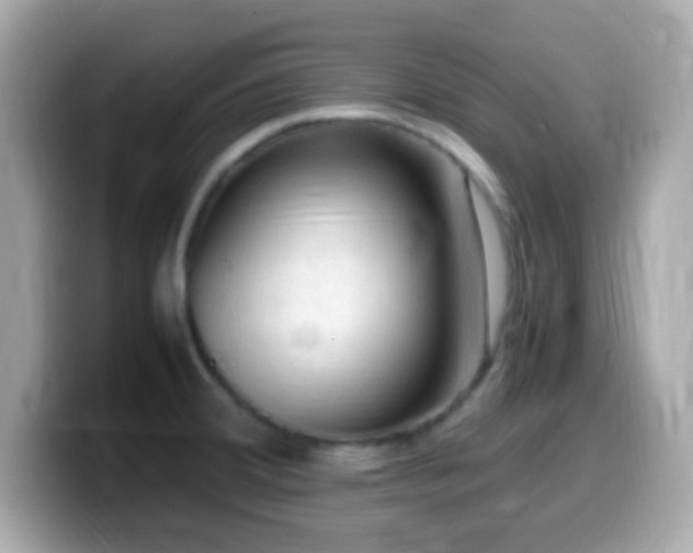 X0000099981380200805231416