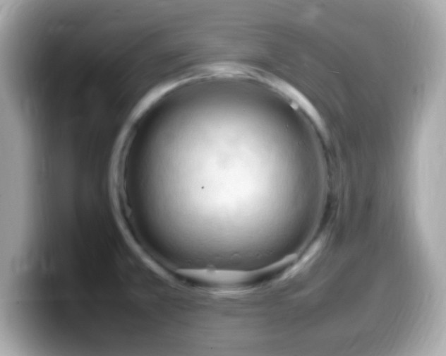 X0000099981381200805231416