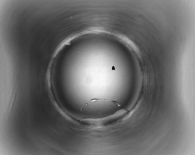 X0000099981382200805231416