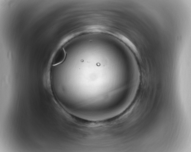 X0000099981384200805231416