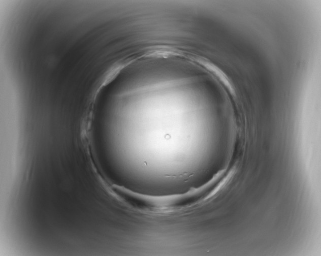X0000099981385200805231416
