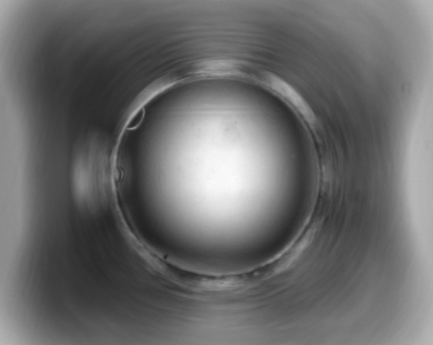 X0000099981386200805231416
