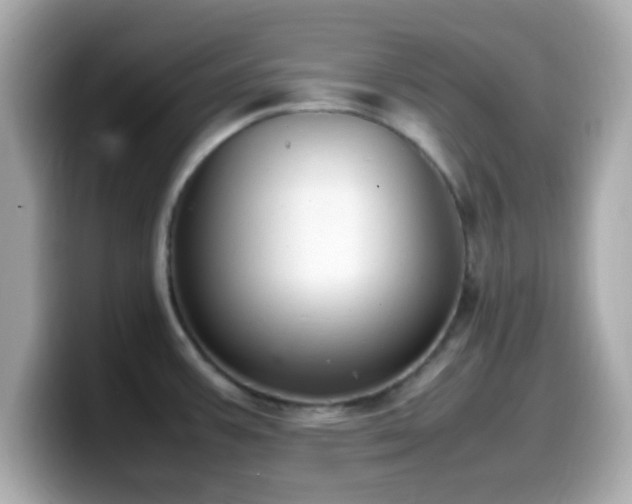 X0000099981387200805231416