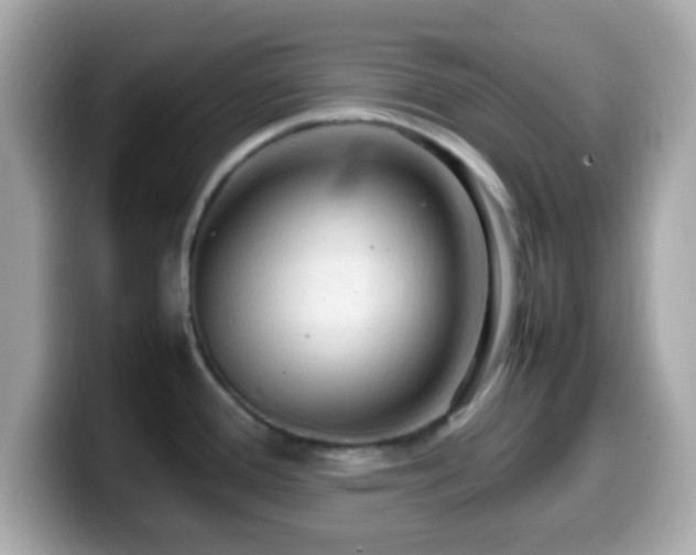 X0000099981388200805231416