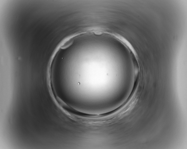 X0000099981389200805231416