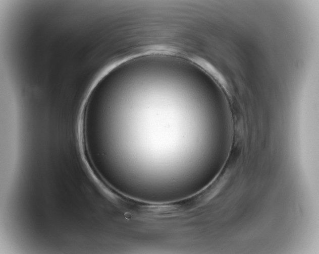 X0000099981391200805231416