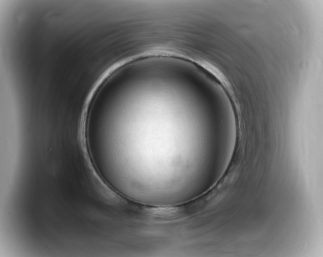 X0000099981392200805231416