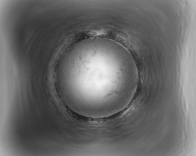 X0000099981393200805231415