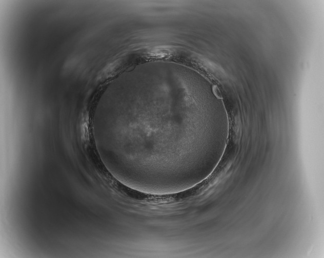 X0000099981394200805231415