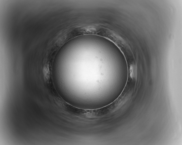 X0000099981395200805231415