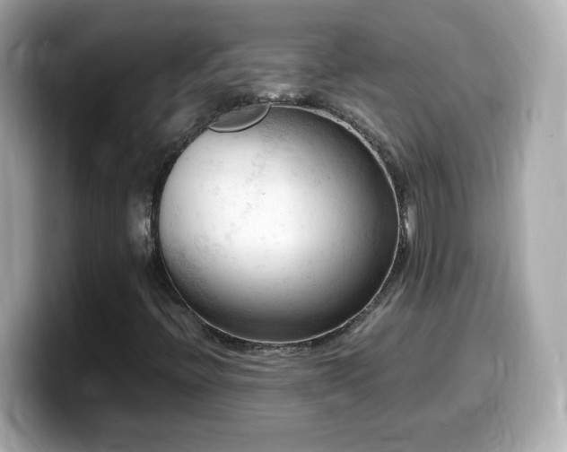 X0000099981396200805231415