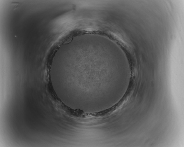 X0000099981398200805231415