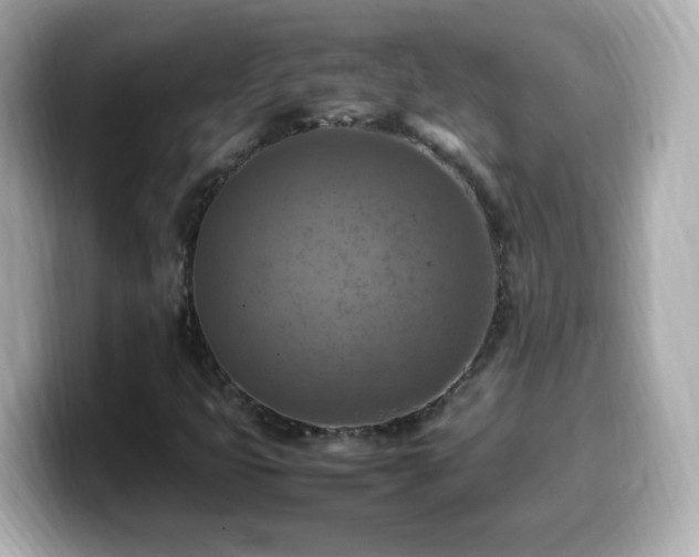 X0000099981399200805231415