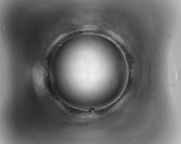 X0000099981400200805231415