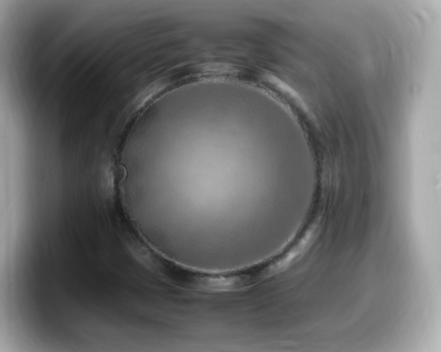 X0000099981401200805231415