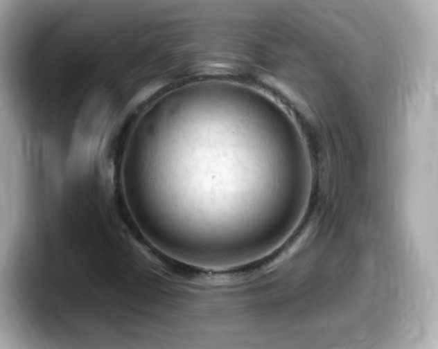 X0000099981402200805231415
