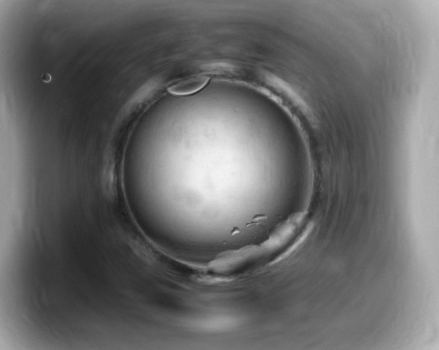 X0000099981403200805231415