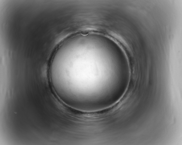 X0000099981404200805231415