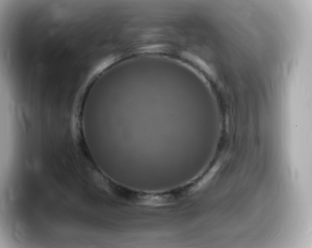 X0000099981405200805231415