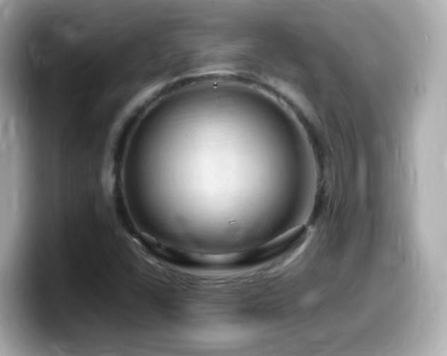 X0000099981406200805231415
