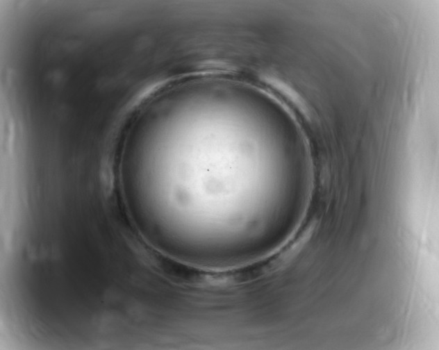 X0000099981407200805231416