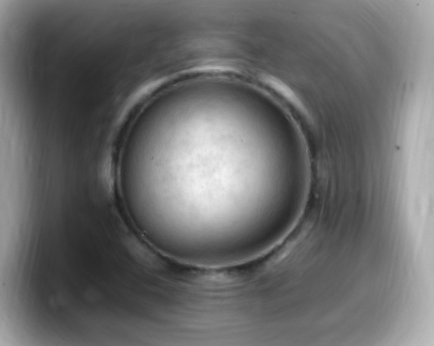 X0000099981408200805231416