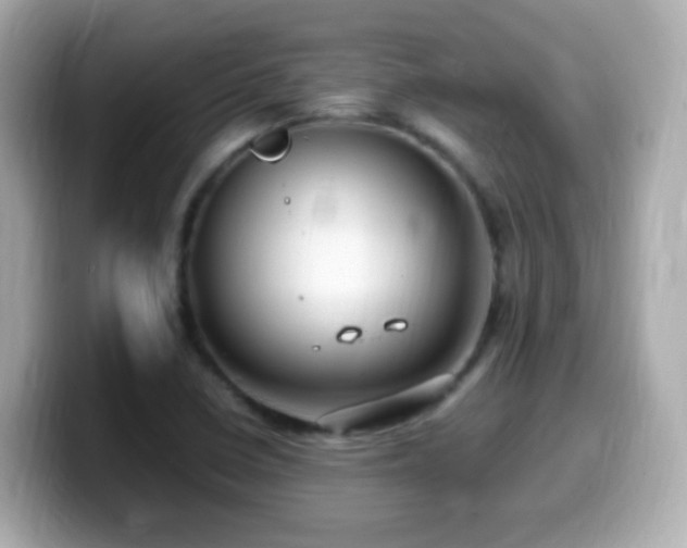 X0000099981410200805231416