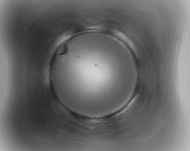 X0000099981411200805231416