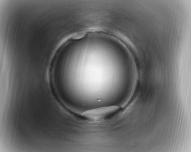 X0000099981412200805231416