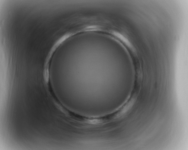 X0000099981413200805231416