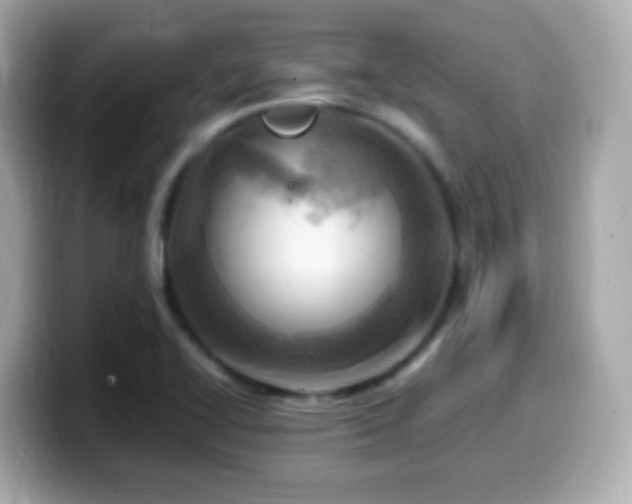 X0000099981414200805231416