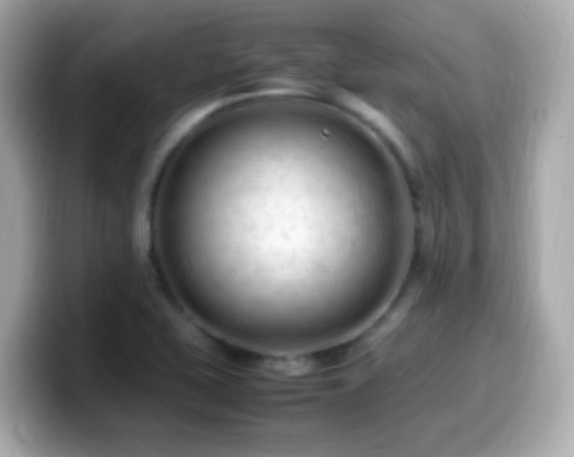 X0000099981415200805231416