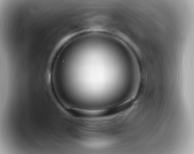 X0000099981416200805231416