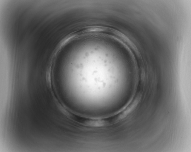 X0000099981417200805231416