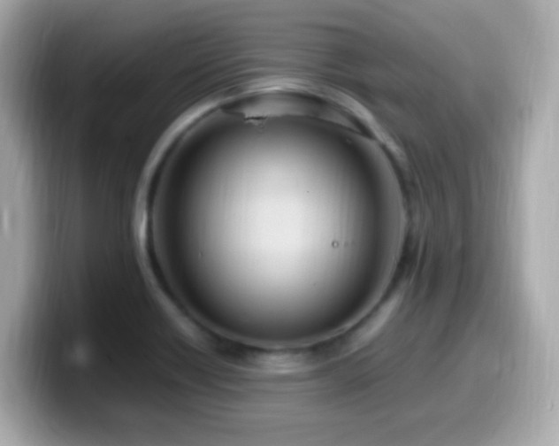 X0000099981418200805231416