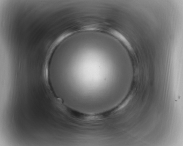 X0000099981419200805231416