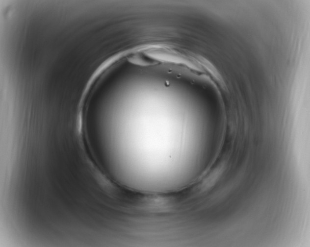 X0000099981420200805231416