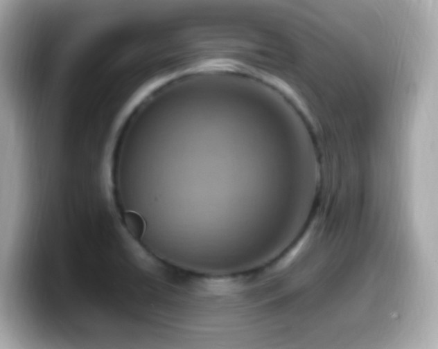 X0000099981422200805231416