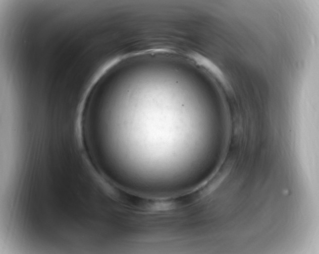 X0000099981423200805231416